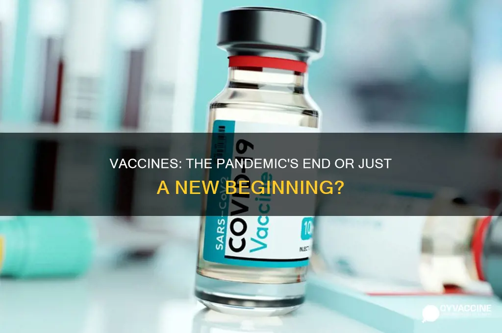 did we end the pandemic because of vaccines