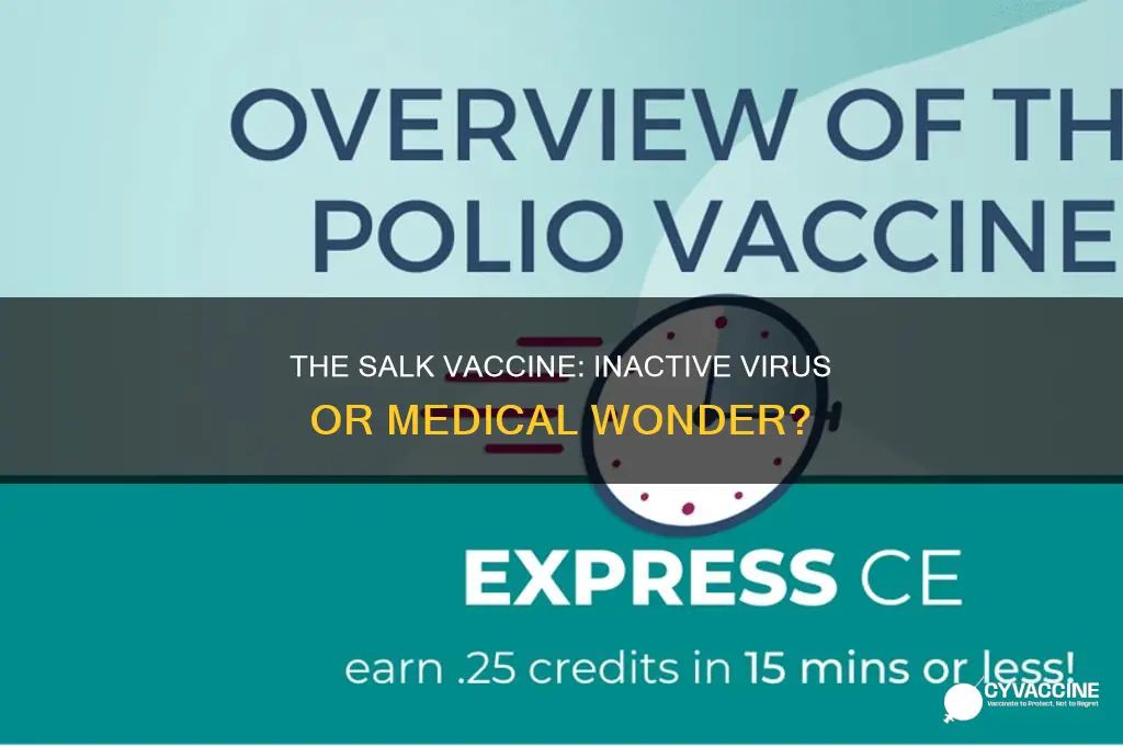 did yhr salk vaccine contain an inactive virus