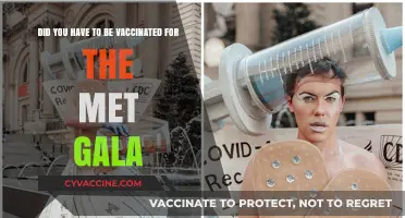 Met Gala's Strict Vaccination Rules: Who Was Exempt?