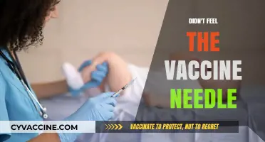 Painless Protection: Why You Didn’t Feel the Vaccine Needle