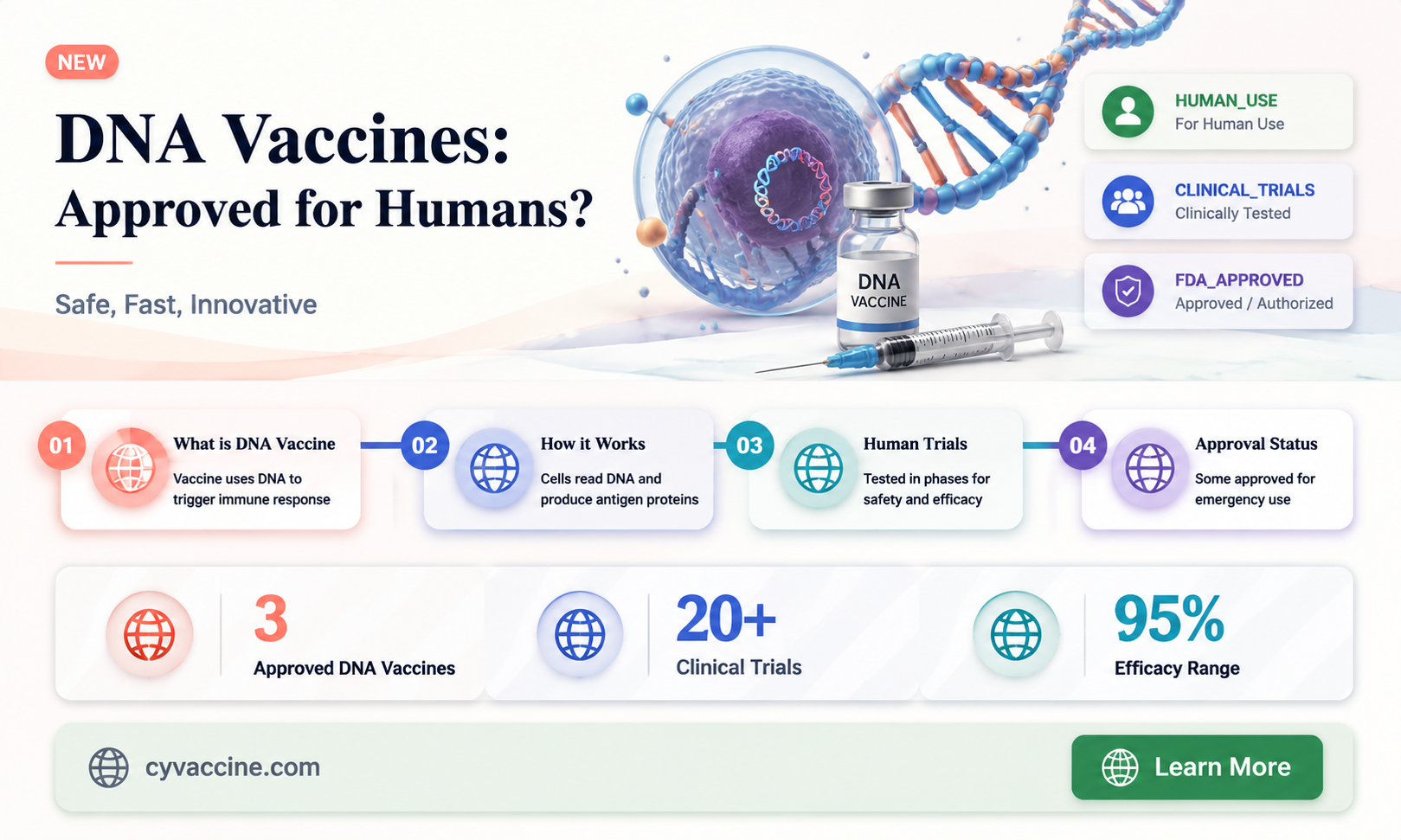are there any dna vaccines approved for humans