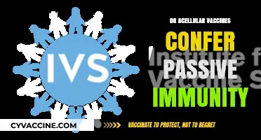 Do Acellular Vaccines Provide Passive Immunity? Exploring the Science