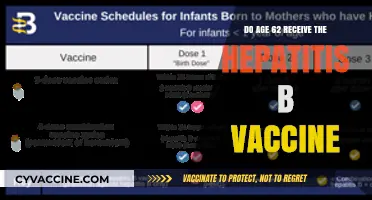 Hepatitis B Vaccine: The Importance for 62-Year-Olds