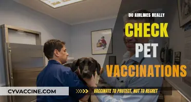 Do Airlines Verify Pet Vaccinations Before Boarding? What You Need to Know