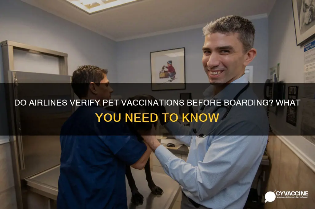 do airlines really check pet vaccinations