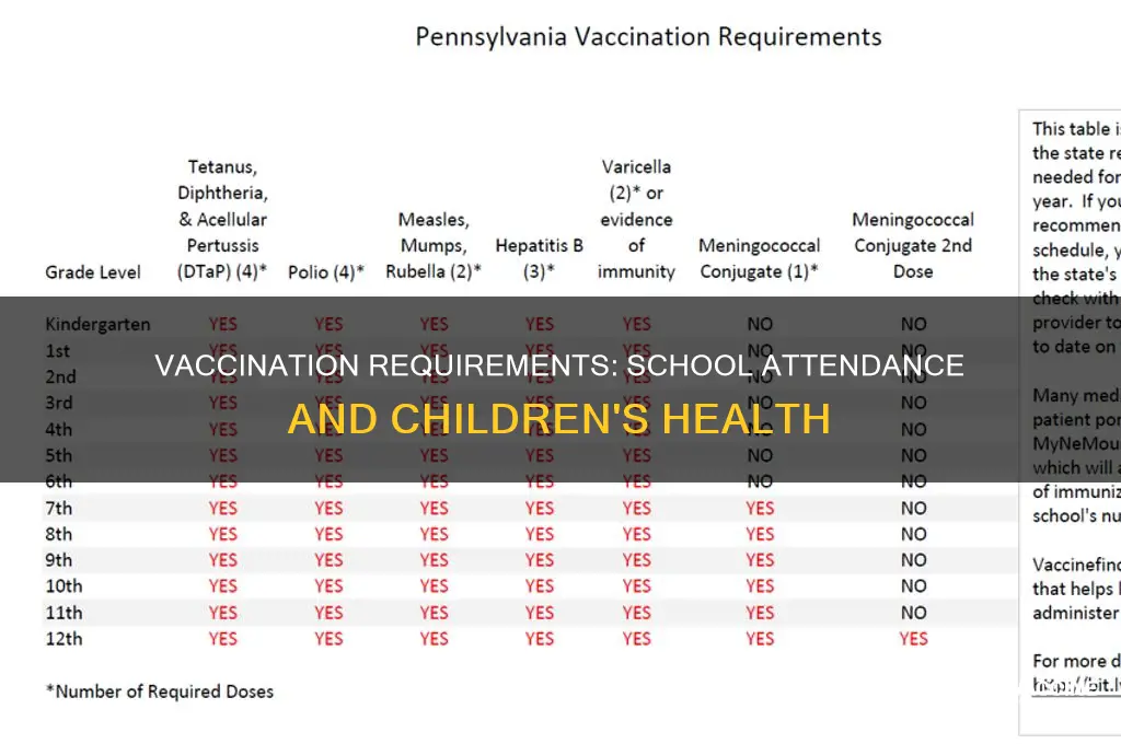do all children have to be vaccinated for school