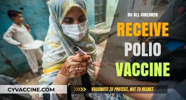 Do All Children Receive Polio Vaccine? Global Access and Challenges