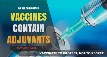 Do All Conjugated Vaccines Contain Adjuvants? Exploring the Facts
