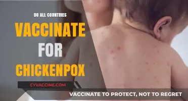Global Chickenpox Vaccination: Which Countries Immunize and Why?