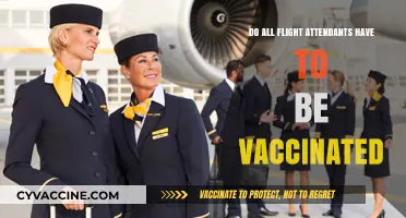 Flight Attendants and Vaccination: A Mandatory Requirement?