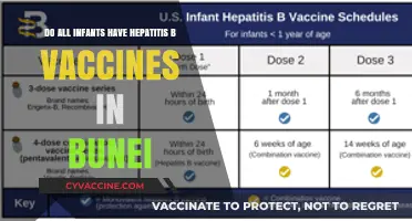 Hepatitis B Vaccines for Infants: Are They Mandatory in Bunei?