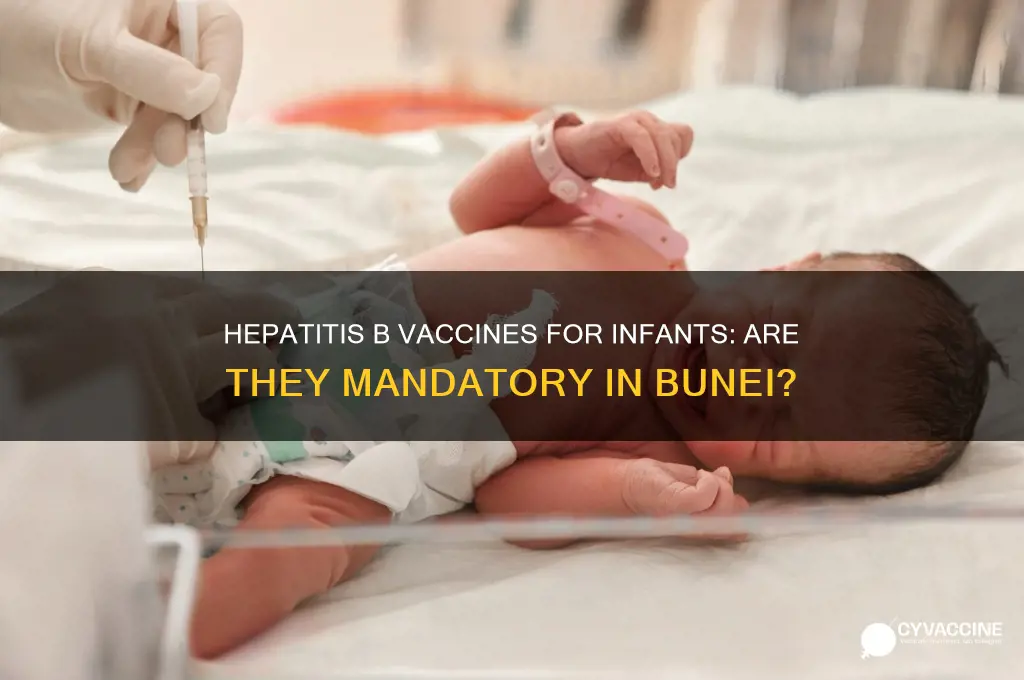 do all infants have hepatitis b vaccines in bunei