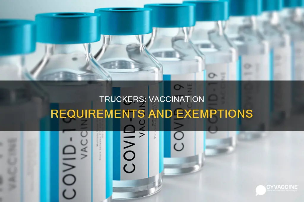 do all truck drivers have to be vaccinated