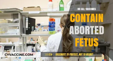 Debunking Myths: Do Vaccines Contain Aborted Fetal Cells?