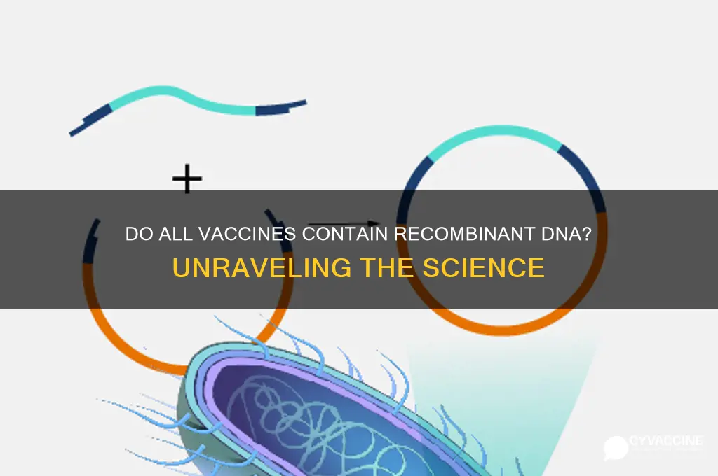 do all vaccines contain recombinant dna