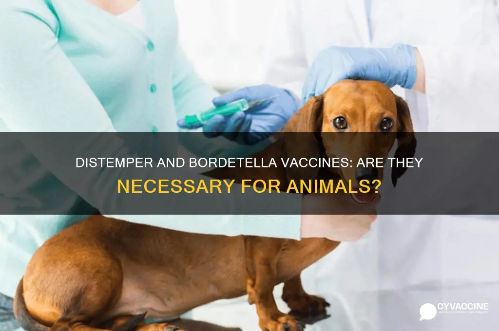 do animals have to have distemper and bordetella vaccines