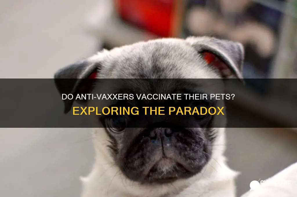 do anti vaxers vaccinate their pets