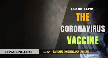 Antibiotics and COVID-19 Vaccines: Understanding Their Interaction and Impact