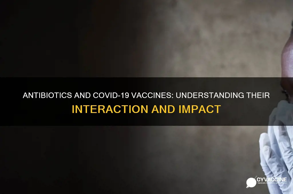 do antibiotics affect the coronavirus vaccine