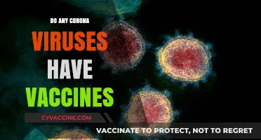 Coronavirus Vaccines: Which Strains Have Available Immunizations?