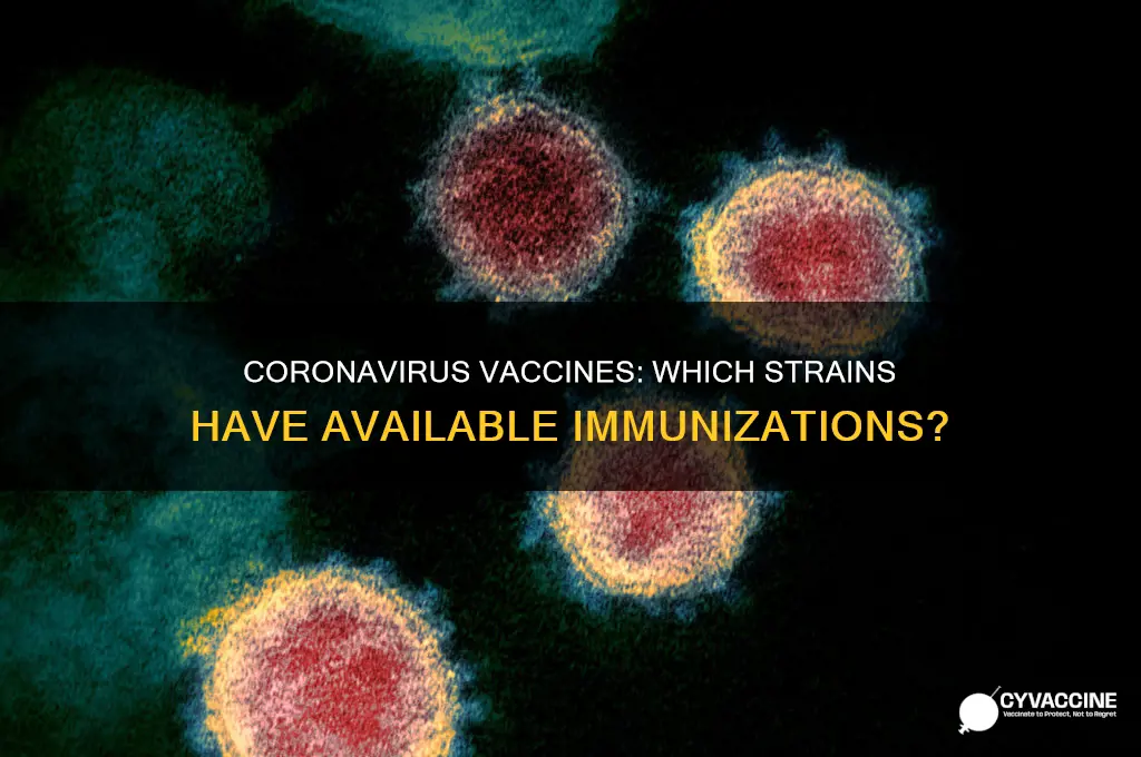 do any corona viruses have vaccines