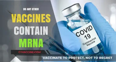 Exploring mRNA Technology: Which Vaccines Besides COVID-19 Use It?