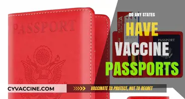 Vaccine Passports: Which States Are Implementing Them and Why?