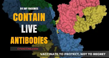 Do Vaccines Contain Live Antibodies? Unraveling the Science Behind Immunization