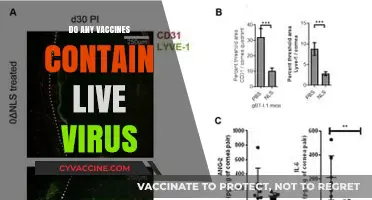 Live Virus Vaccines: Understanding Their Role in Modern Immunization