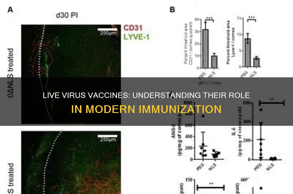 do any vaccines contain live virus