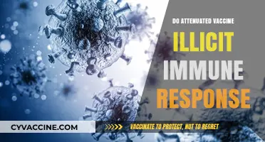 Do Attenuated Vaccines Effectively Trigger Immune Responses? Exploring the Science