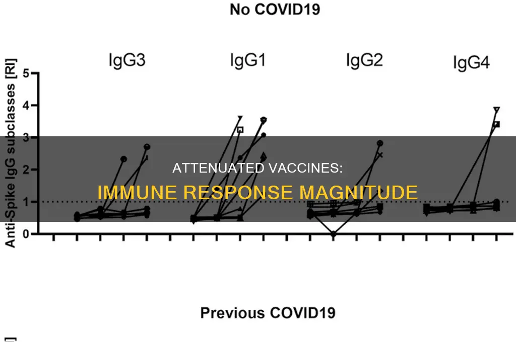 do attenuated vaccines generate a larger immune response