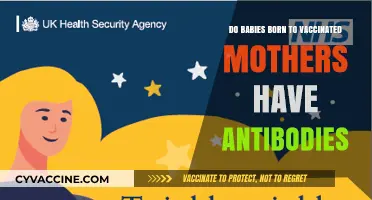 Vaccinated Mothers Pass Antibodies to Newborns