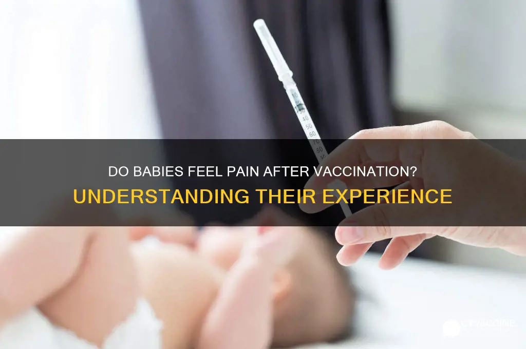 do babies feel pain after vaccination