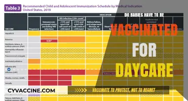 Daycare Vaccination Requirements: What Parents of Babies Need to Know