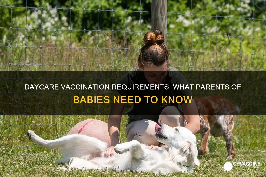 do babies have to be vaccinated for daycare