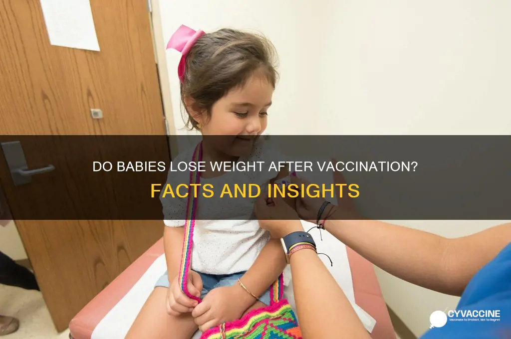 do babies lose weight after vaccination