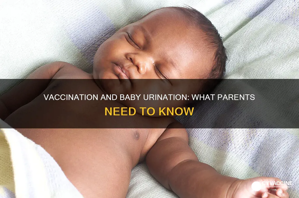 do babies pee less after vaccination
