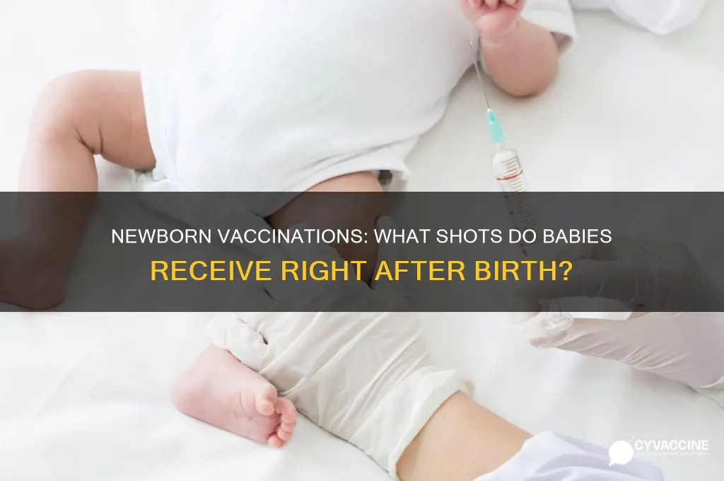 do babies receive vaccines at birth