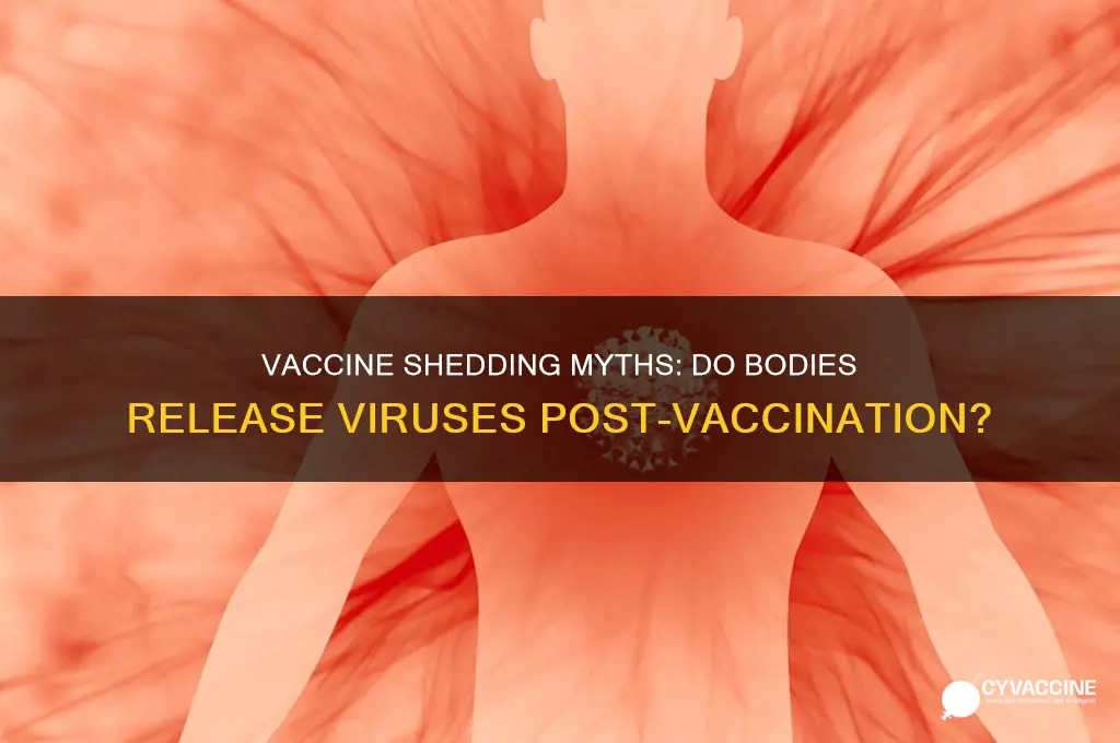 do bodies shed viruses after vaccinations