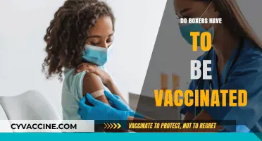 Boxer Vaccination Requirements: Essential Health Measures for Your Dog