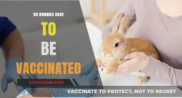 Do Bunnies Need Vaccinations? Essential Health Tips for Rabbit Owners