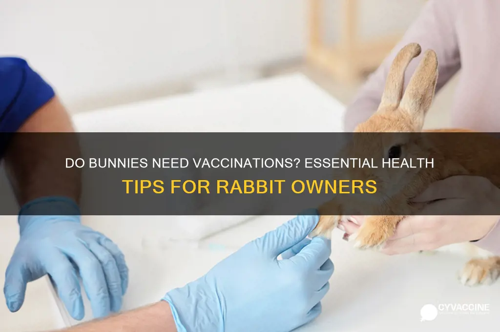 do bunnies have to be vaccinated