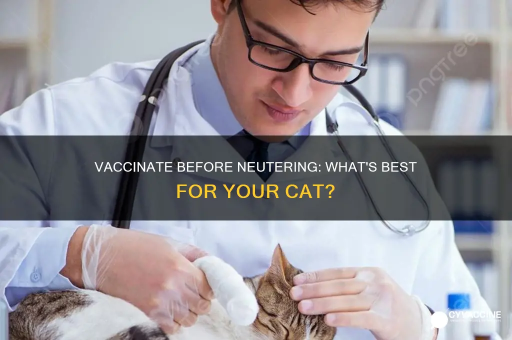 do cats have to be vaccinated before being neutered