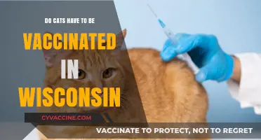 Wisconsin Cat Owners: Are Vaccines Necessary?