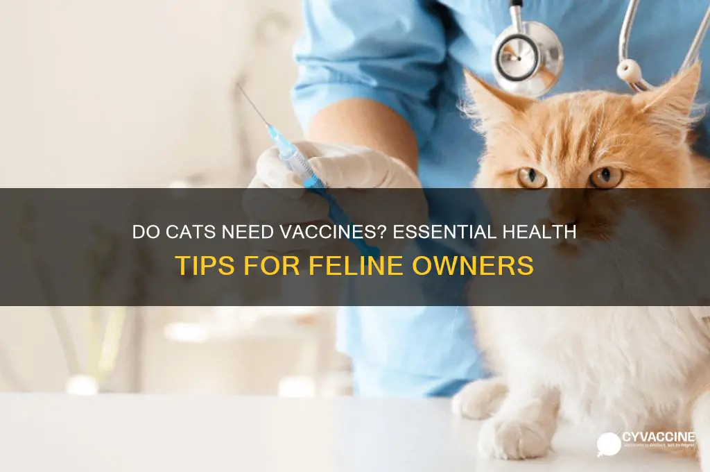 do cats have to be vaccinated
