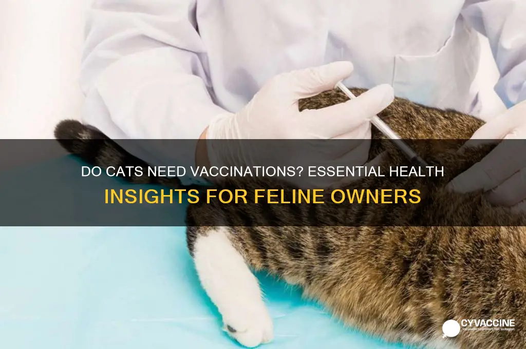 do cats have to have vaccinations