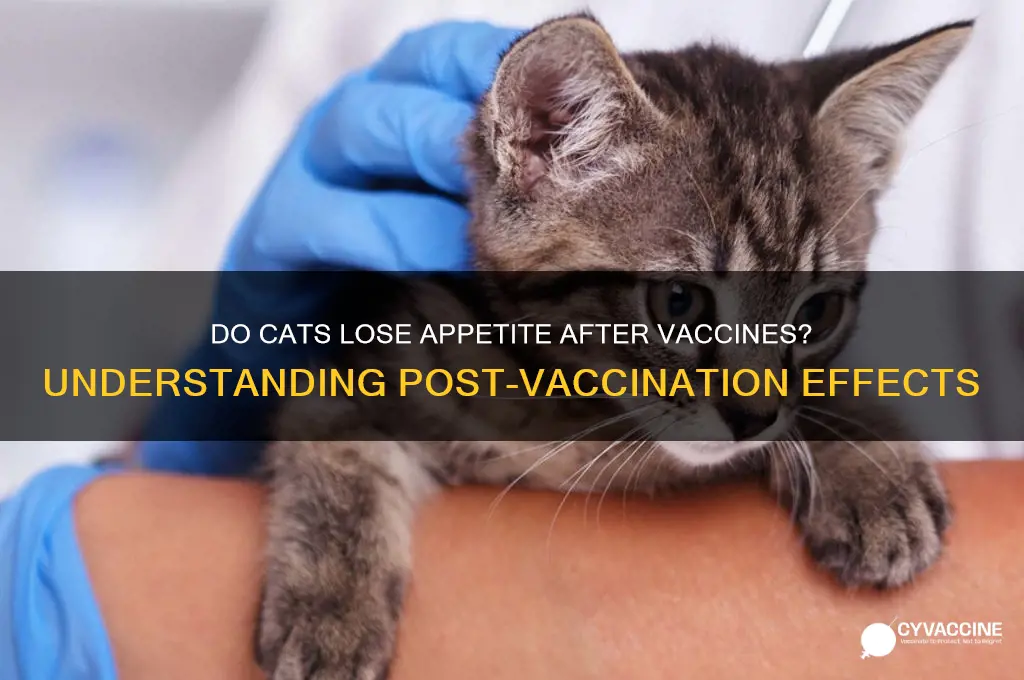 do cats lose appetite after vaccines