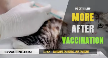 Post-Vaccination Cat Naps: Understanding Increased Sleep in Cats After Shots