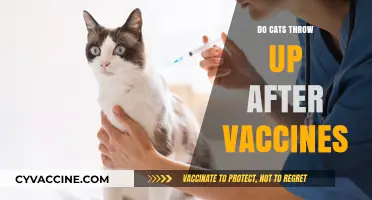 Why Cats May Vomit After Vaccines: Causes and Solutions